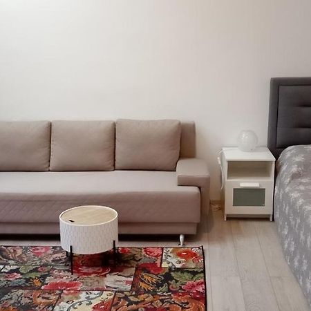 Piata Muzeului 1 Appartement Cluj-Napoca Buitenkant foto