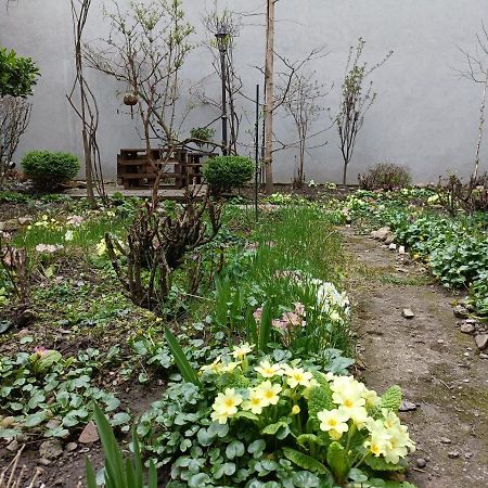 Piata Muzeului 1 Appartement Cluj-Napoca Buitenkant foto