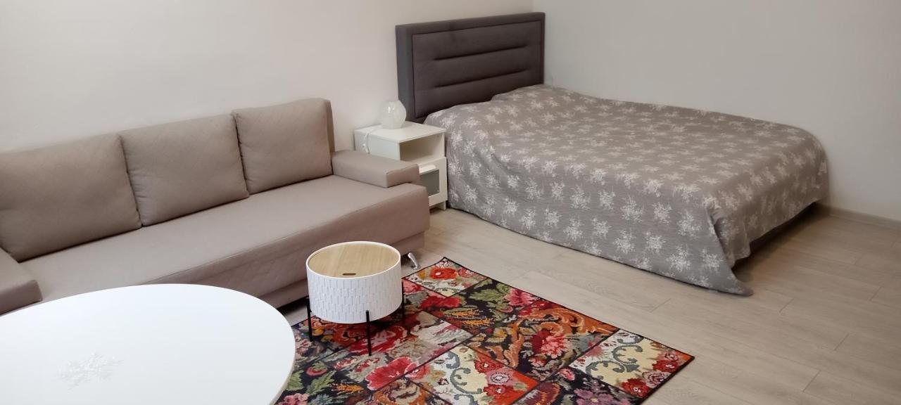 Piata Muzeului 1 Appartement Cluj-Napoca Buitenkant foto