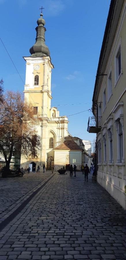 Piata Muzeului 1 Appartement Cluj-Napoca Buitenkant foto