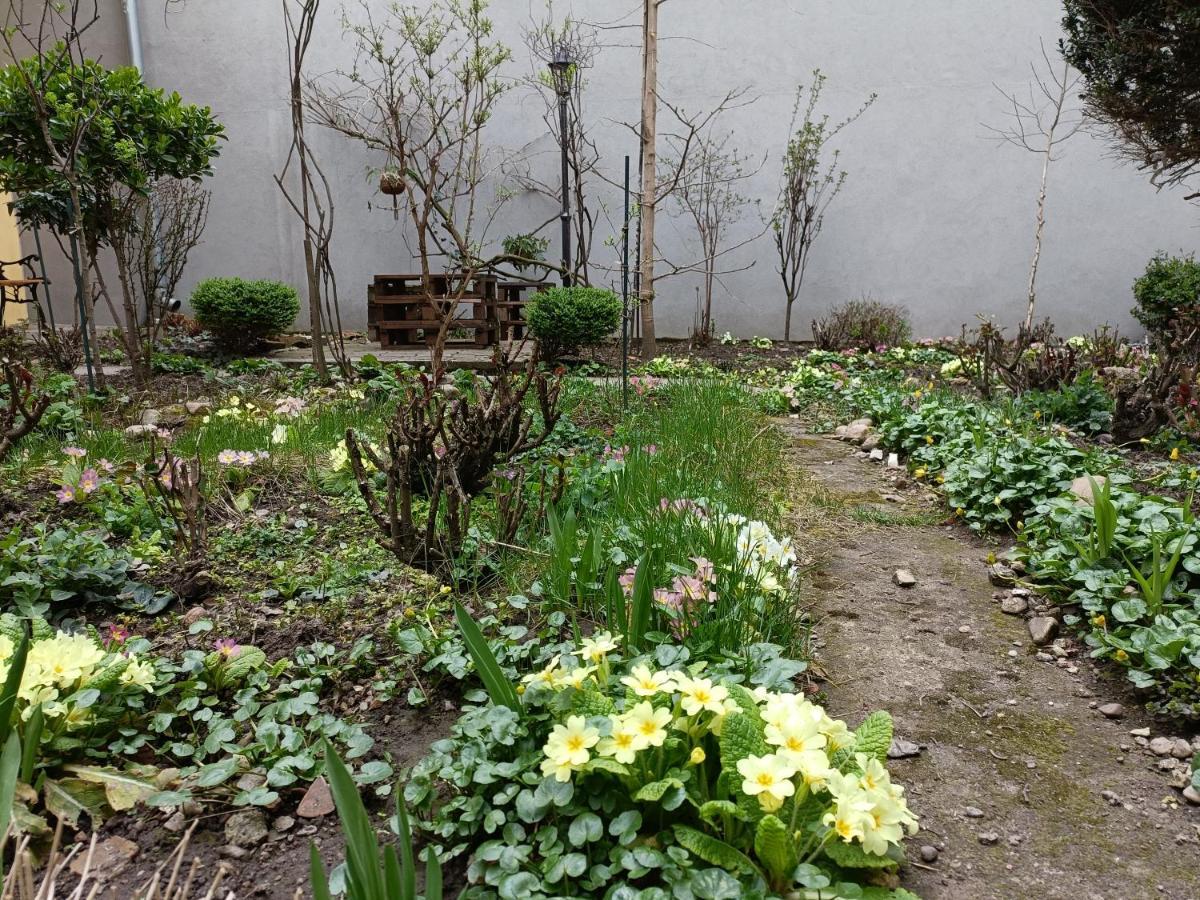Piata Muzeului 1 Appartement Cluj-Napoca Buitenkant foto